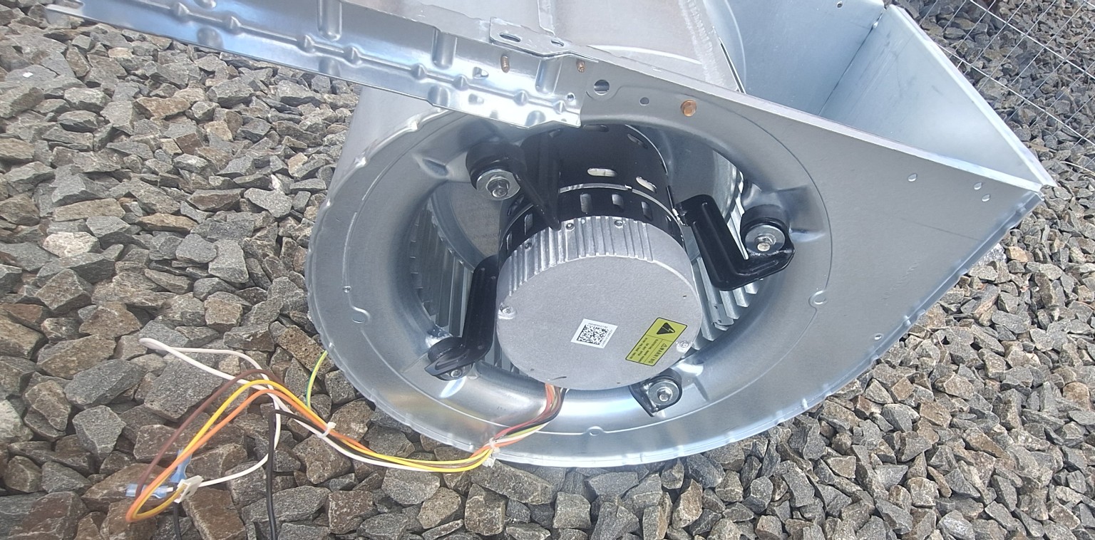 Blower motor assembly after cleaning